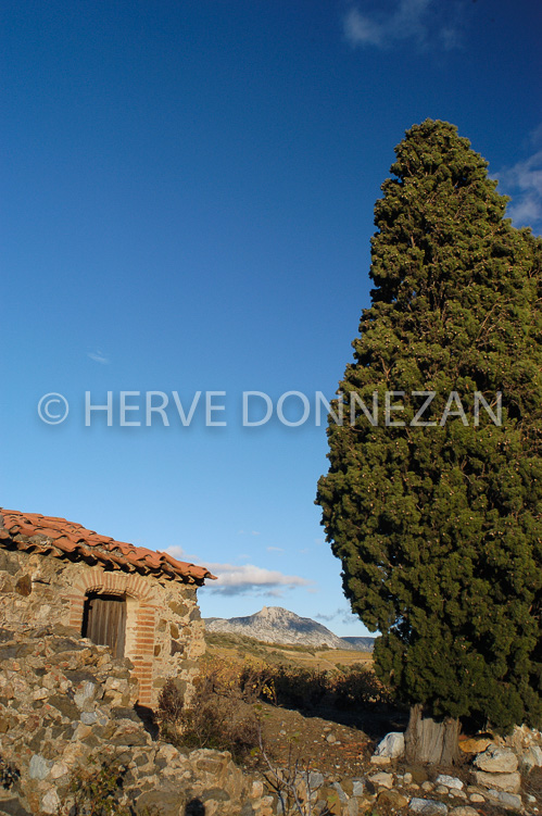 2414_27614_CASOT FENOUILLED