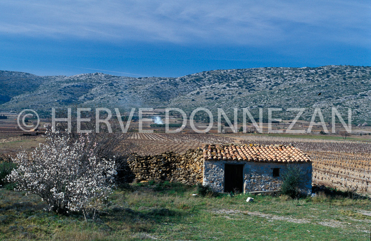 2438_27580_CORBIERES_CASOT