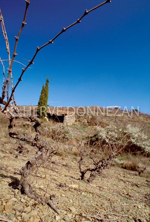2660_21616_CASOT_CORBIERES
