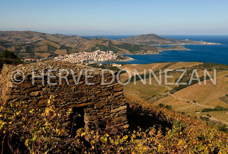 2833_80114_BANYULS_CASOT