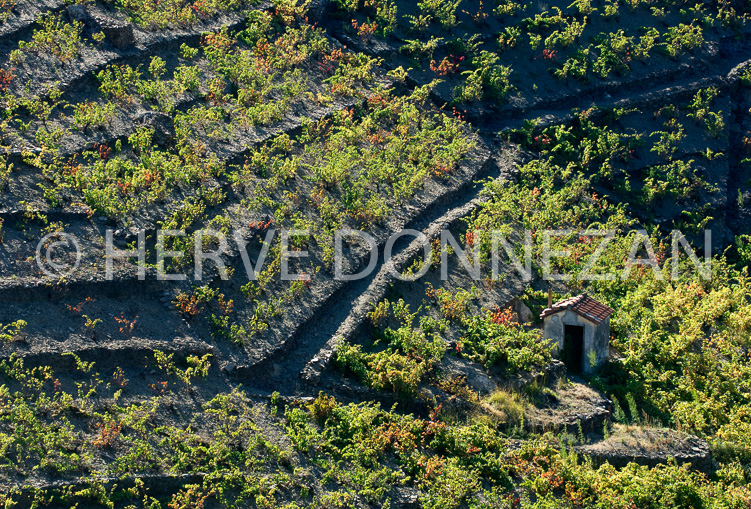 2864_80128_BANYULS_CASO