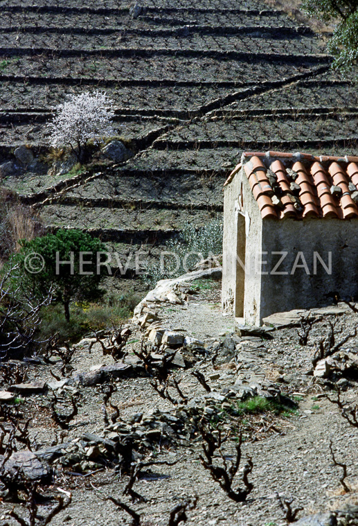 0014 BANYULS HIVER