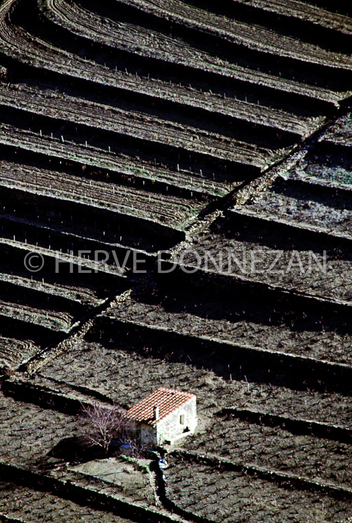 0015 BANYULS HIVER