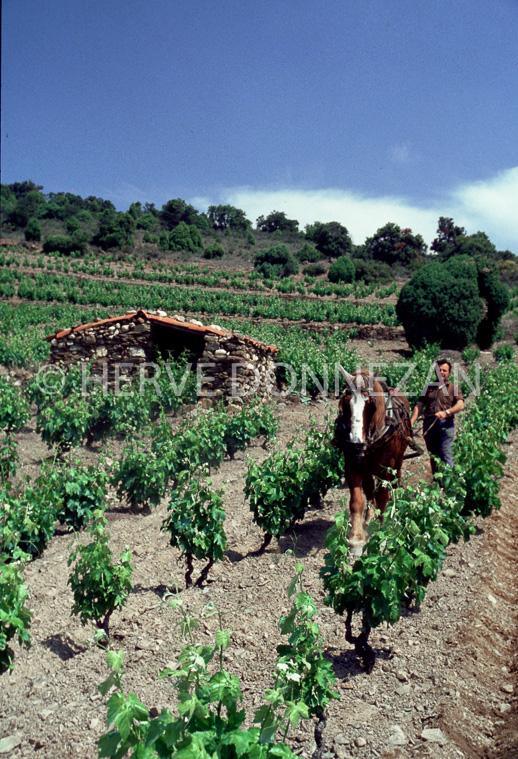 0112 LABOUR ESPIRA_