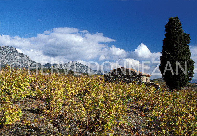 0315 CASOT CORBIERES_