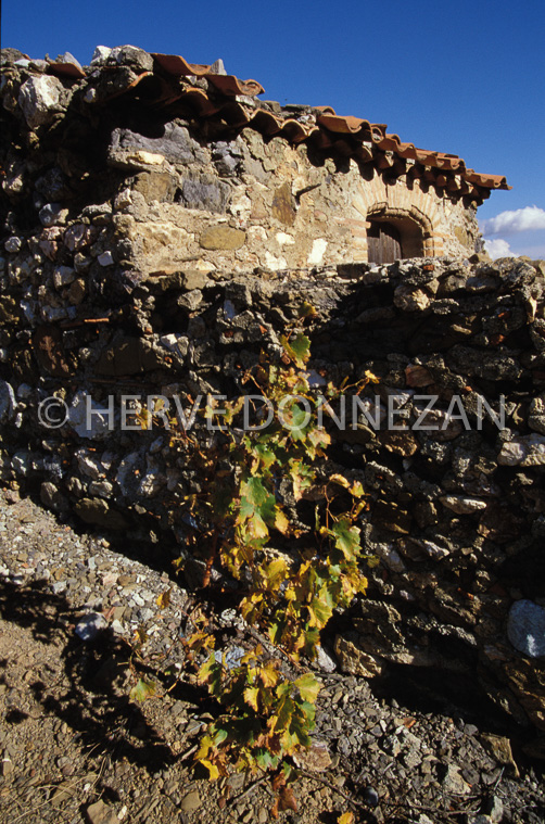 0321_19293_FENOUILLEDES_