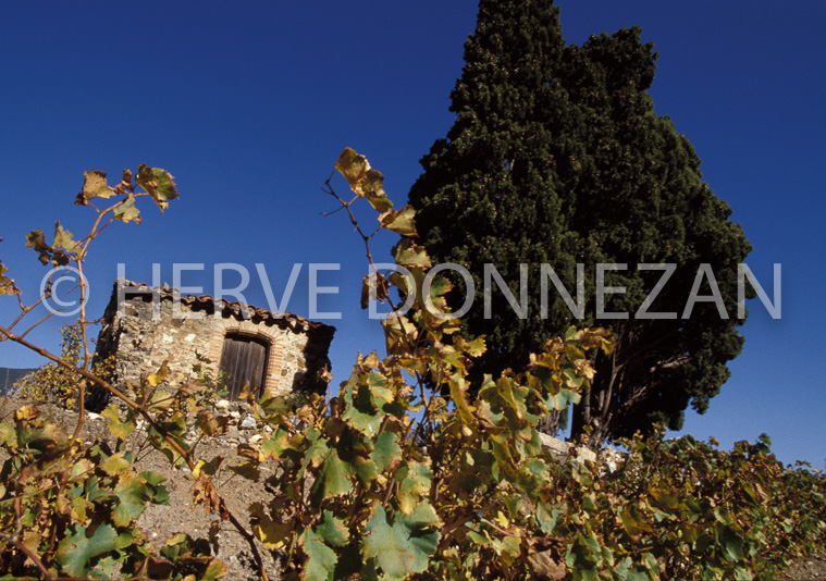 0329 CORBIERES 