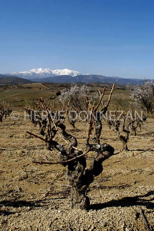 0354_21320 CEP_CANIGOU_A4