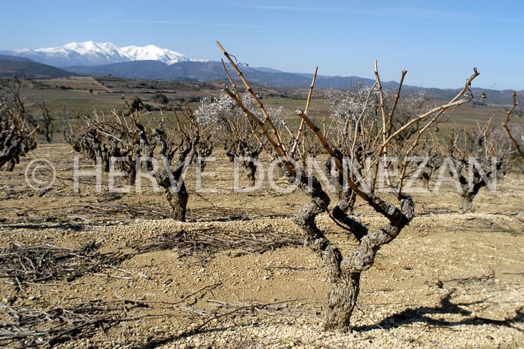 0356-21322_CEP_CANIGOU_A4