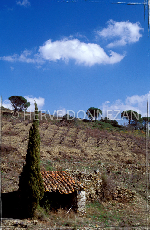 0381 CASOT FENOUILLEDES F