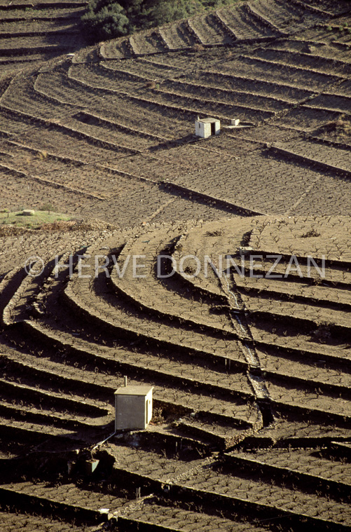 0444_22261_BANYULS TERRASSE_