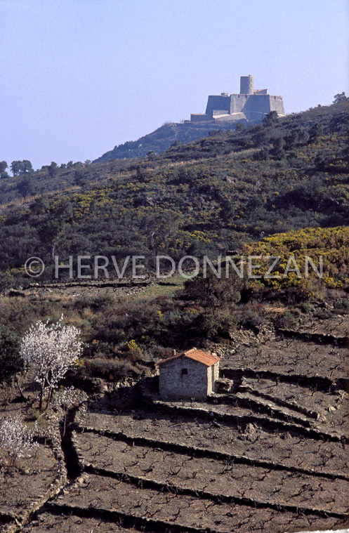 0445 FORT ST ELMES CASOT_