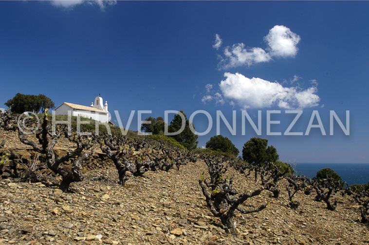 0503 BANYULS T 
