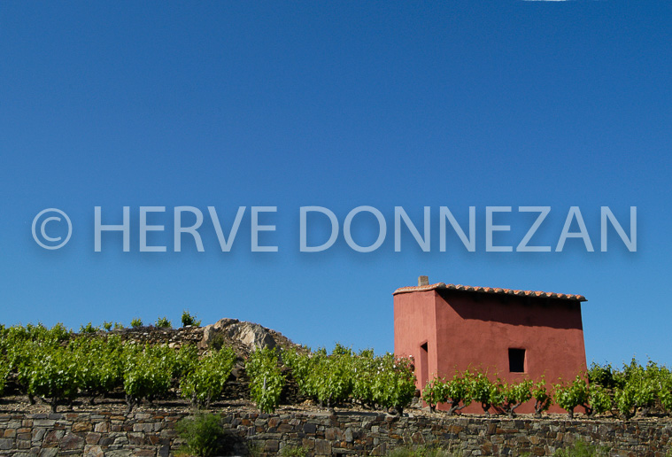 0520 Collioure Casot 