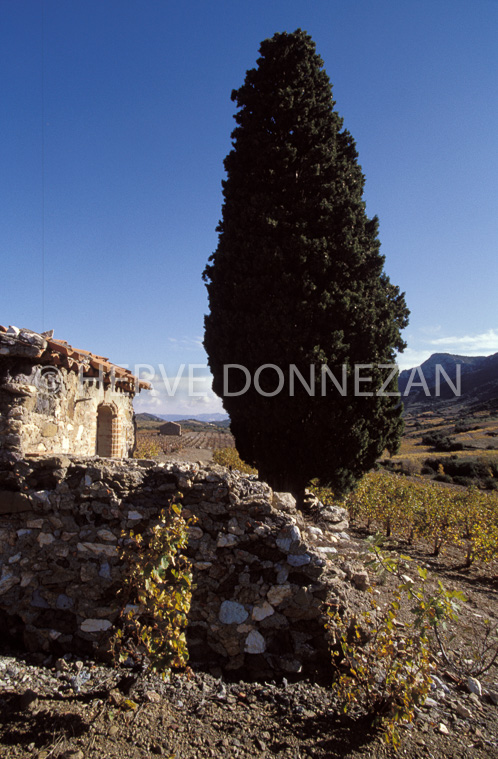 0549_19248_CASOT_FENOUILLEDES_
