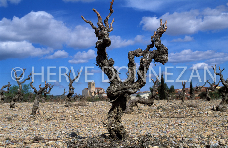 0919_16296 BAIXAS