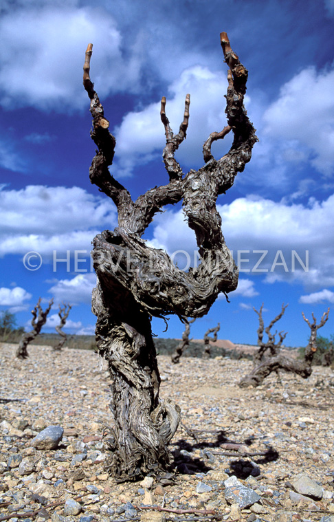 0934_16311 BAIXAS CEP VIGNE