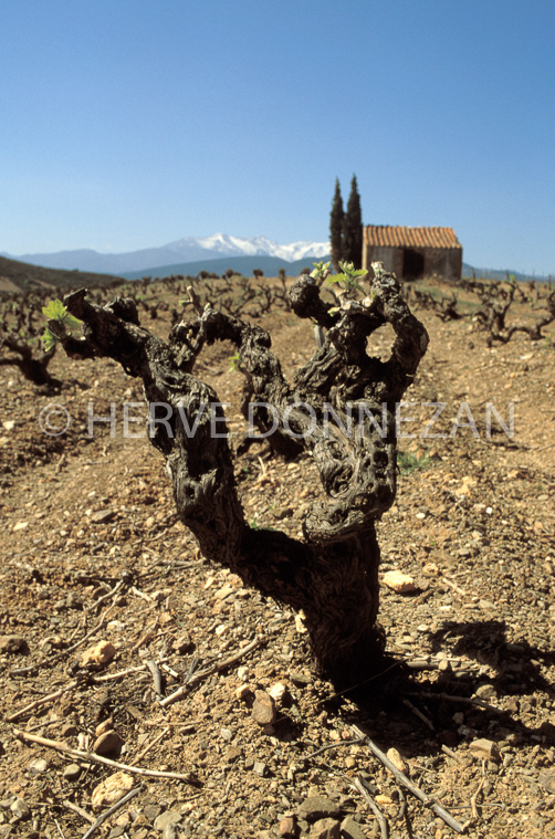 0936_16317 ASPRES CASOT CANIGOU_