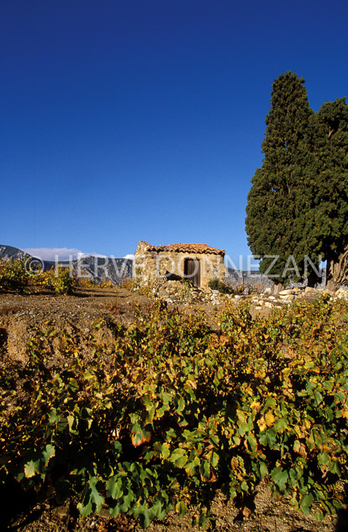 1139_19216__CASOT_FENOUILLEDES_