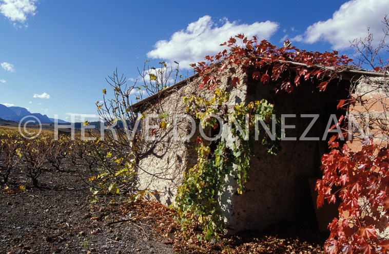 1146_19232_CASOT_FENOUILLEDES_
