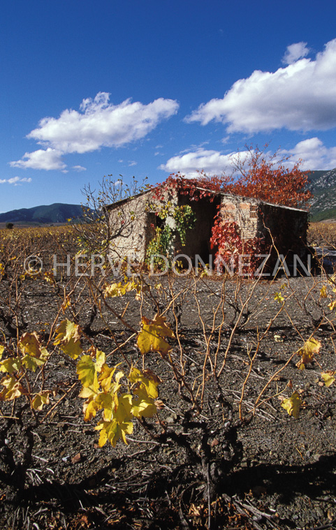 1147_19233_CASOT_FENOUILLEDES_