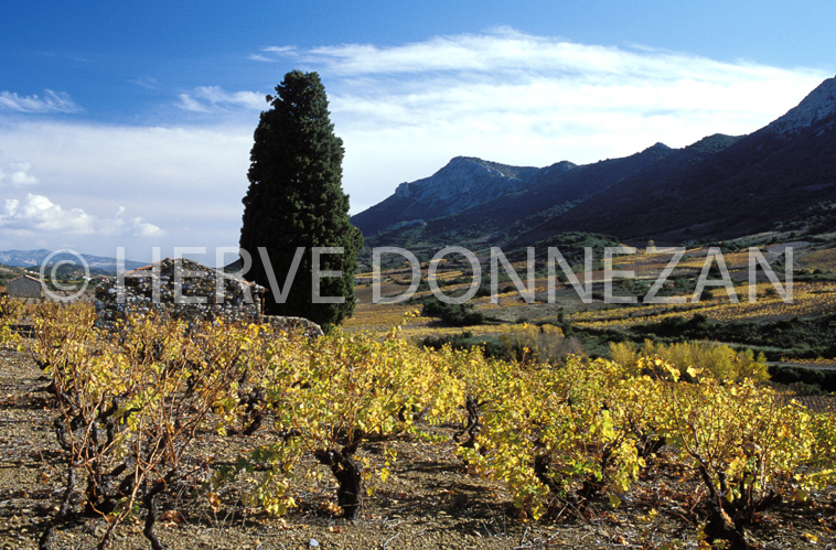 1148_19234_CASOT_FENOUILLEDES_