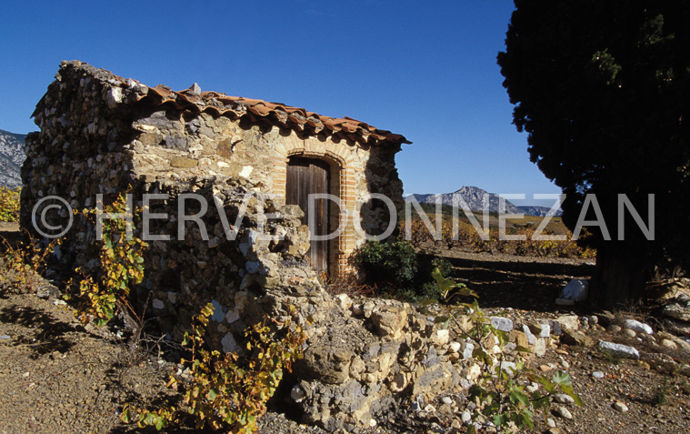 1149_19235_CASOT_FENOUILLEDES_