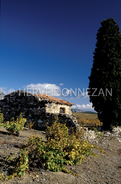 1155_19242_CASOT_FENOUILLEDES-