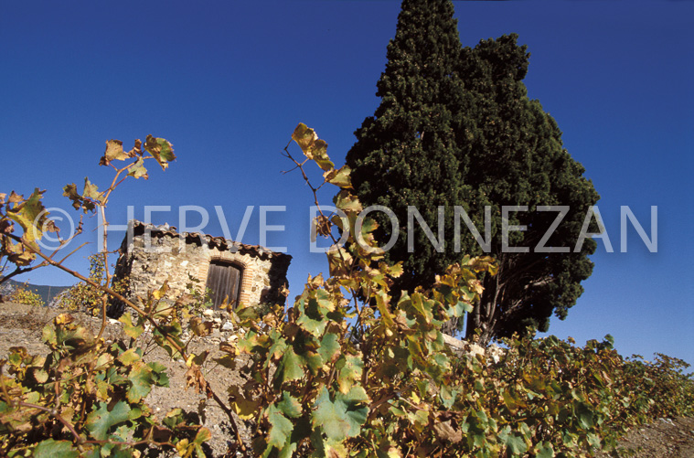 1165_19253_CASOT_FENOUILLEDES_