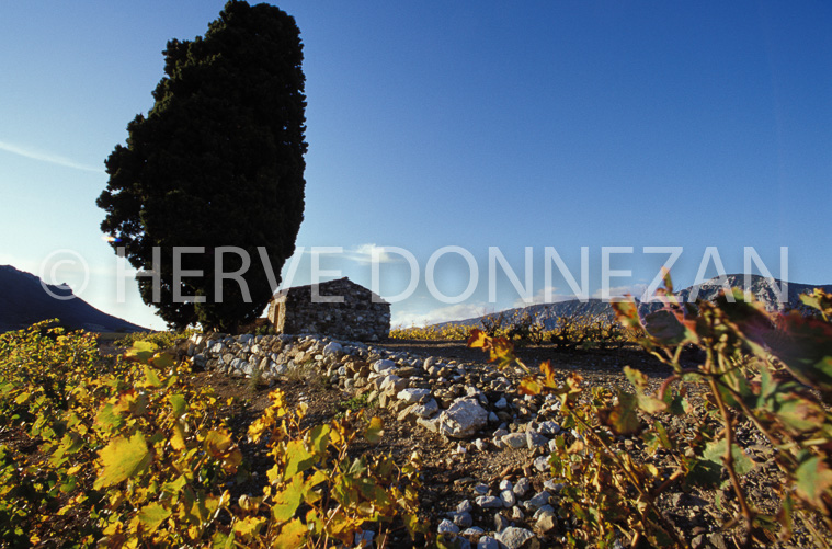 1167_19256_CASOT_FENOUILLEDES_