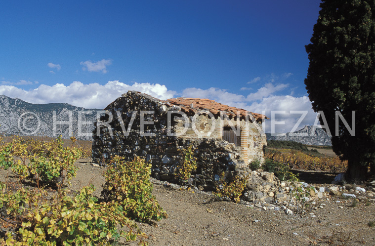 1190_19291_CASOT_FENOUIL_