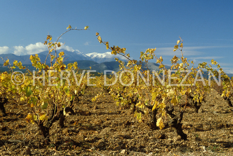 1213_19688_CANIGOU_ASPRES