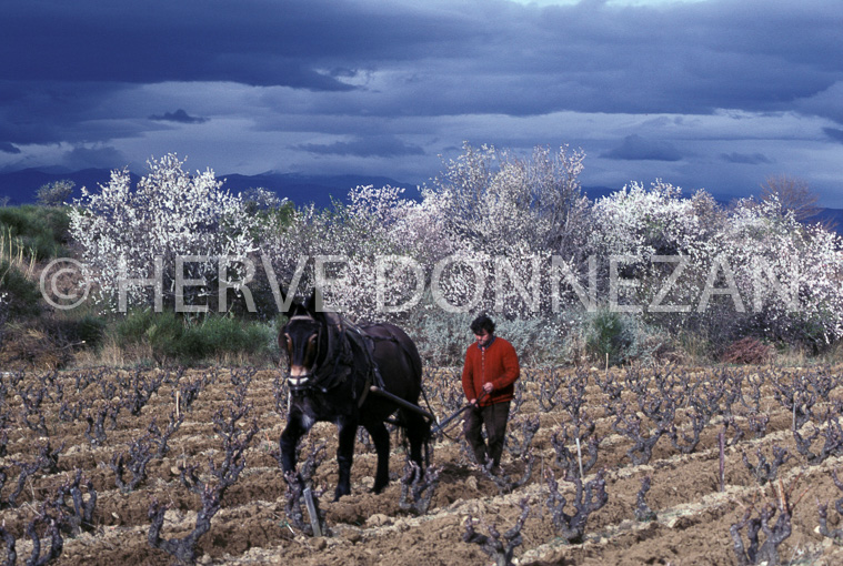 1540_26404_LABOUR-CANOHES