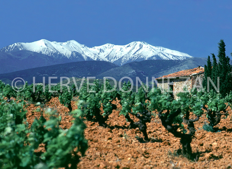 1713_154_CASOT ASPRES  CANIGOU 16