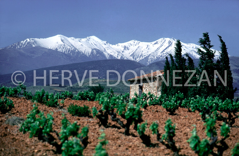 1715_CASOT ASPRES CANIGOU