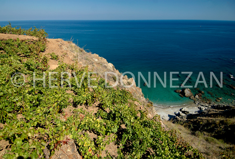 1722_34129_BANYULS