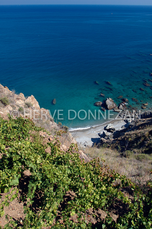 1723_34127_BANYULS