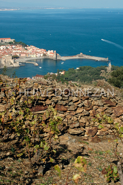 1800_35325_COLLIOURE
