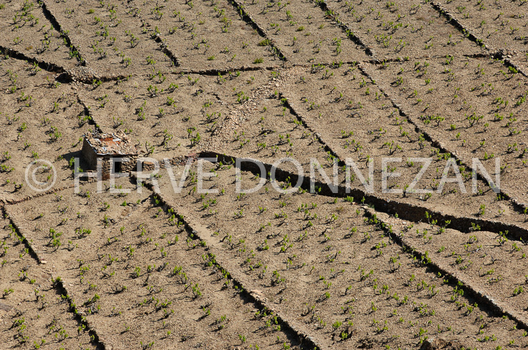 1810_49040_BANYULS_CASOT_