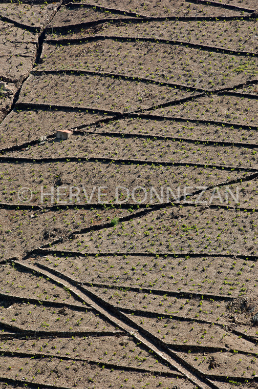1838_49048_BANYULS TERRASSES_