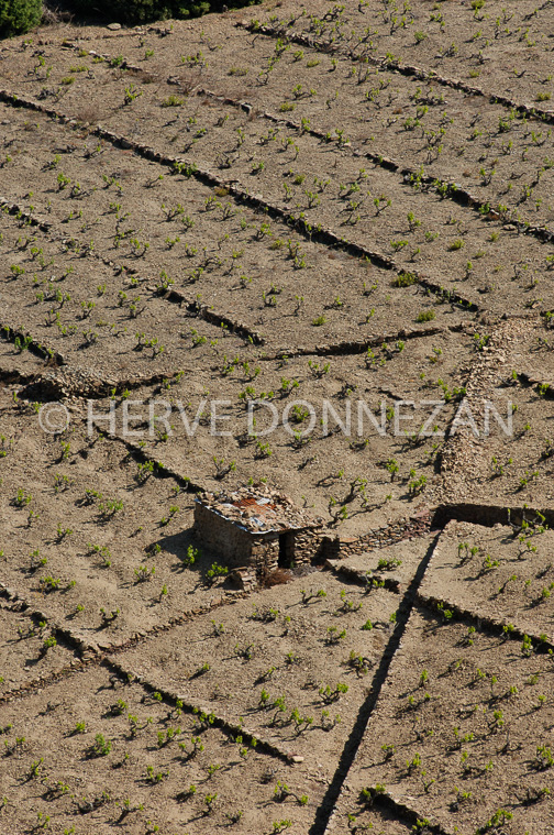 1847_49211_CASOT_BANYULS_