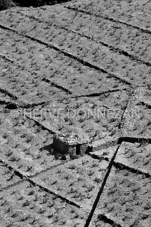 1847_49211_CASOT_BANYULS_BN