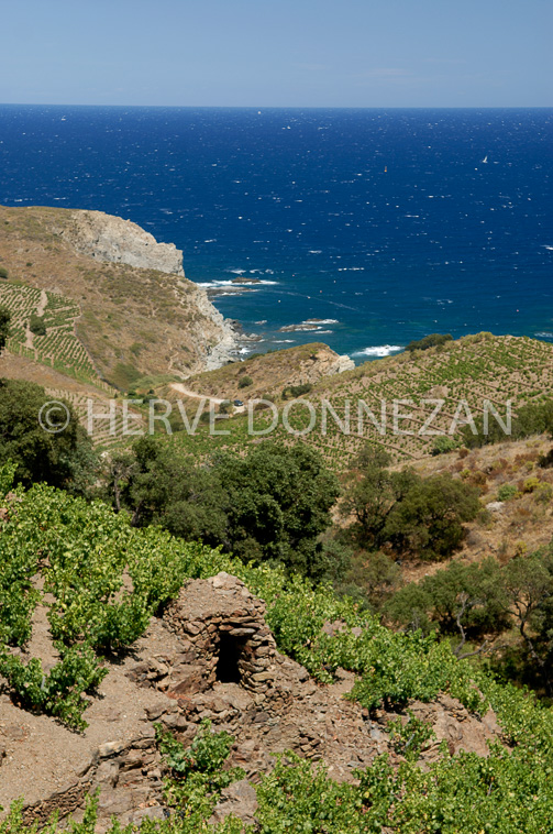 1970_4777_CASOT PIERRE_BANYU