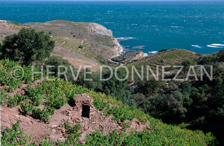 2090-52103BANYULS_CASOT_