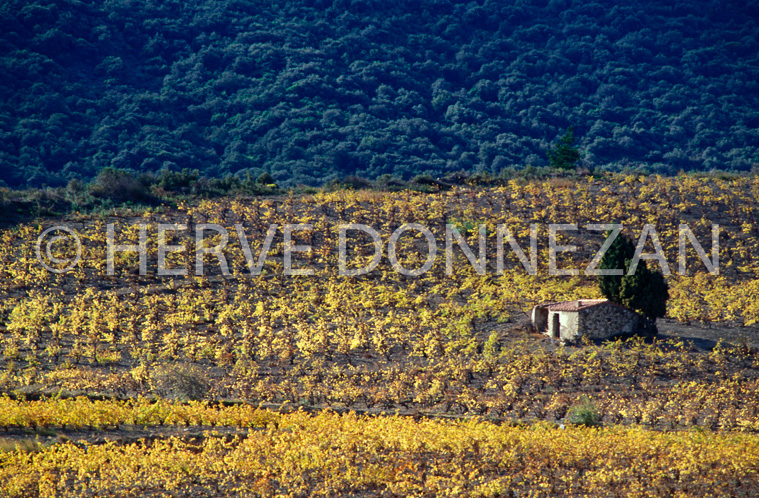 2271_28065_CASOT FENOUILLEDES_