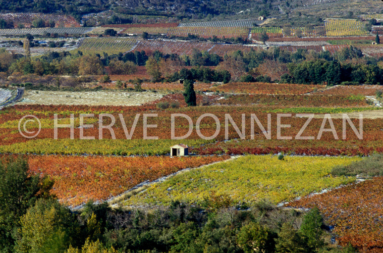 2274_35475_CASOT FENOUILLEDES_