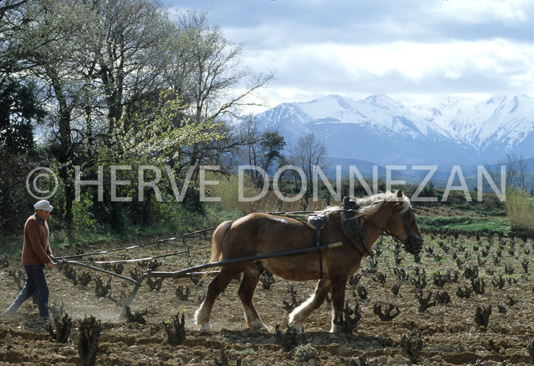 2322_39075ASPRES LABOUR CANIGOU
