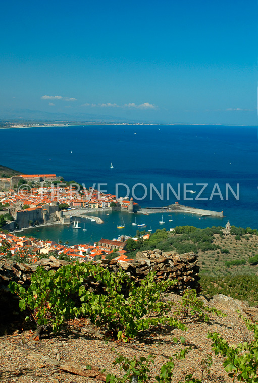 2375_33392_COLLIOURE_CEP