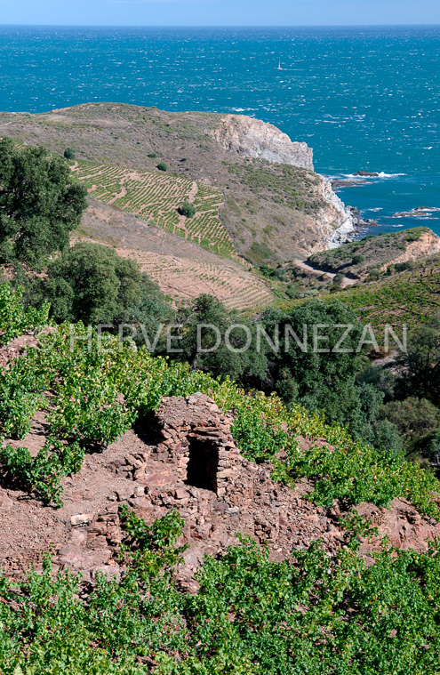 2418_52105_CASOT_BANYULS_