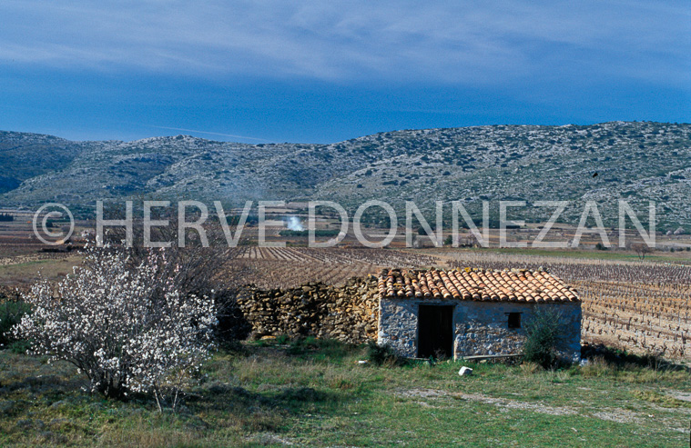 2438_27580_CORBIERES_CASOT_